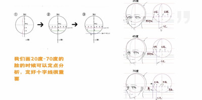 人体 头部画法