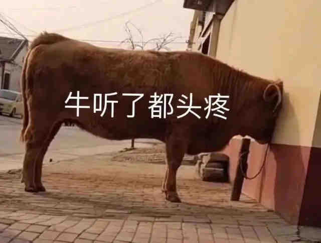 表情包