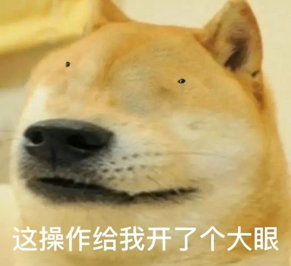 表情包