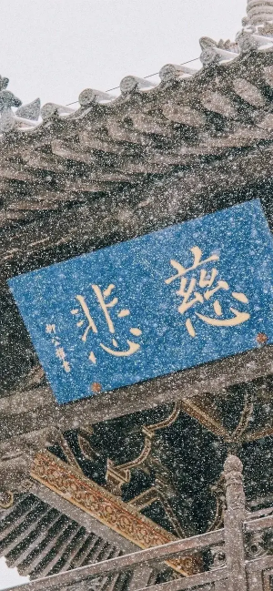 壁纸