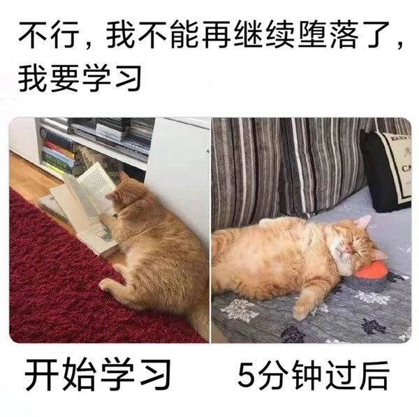 表情包