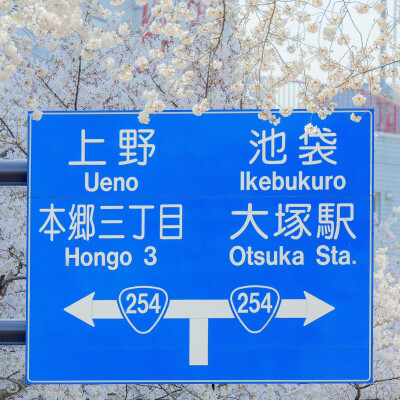 日系背景图