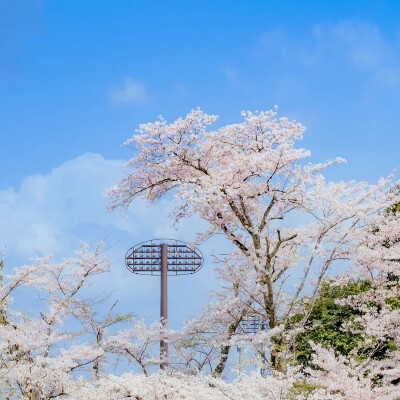 日系背景图