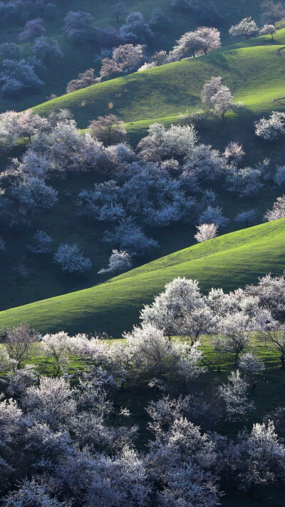 生命归于简单，人生景致淡雅。©图虫创意