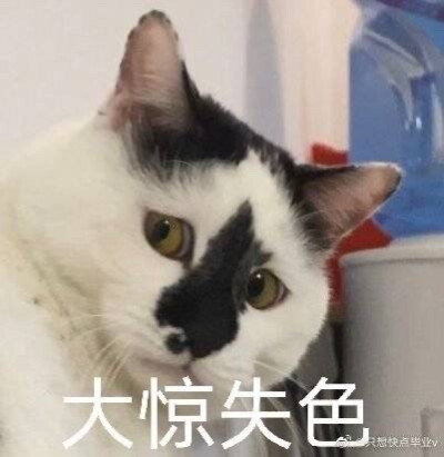 小乖