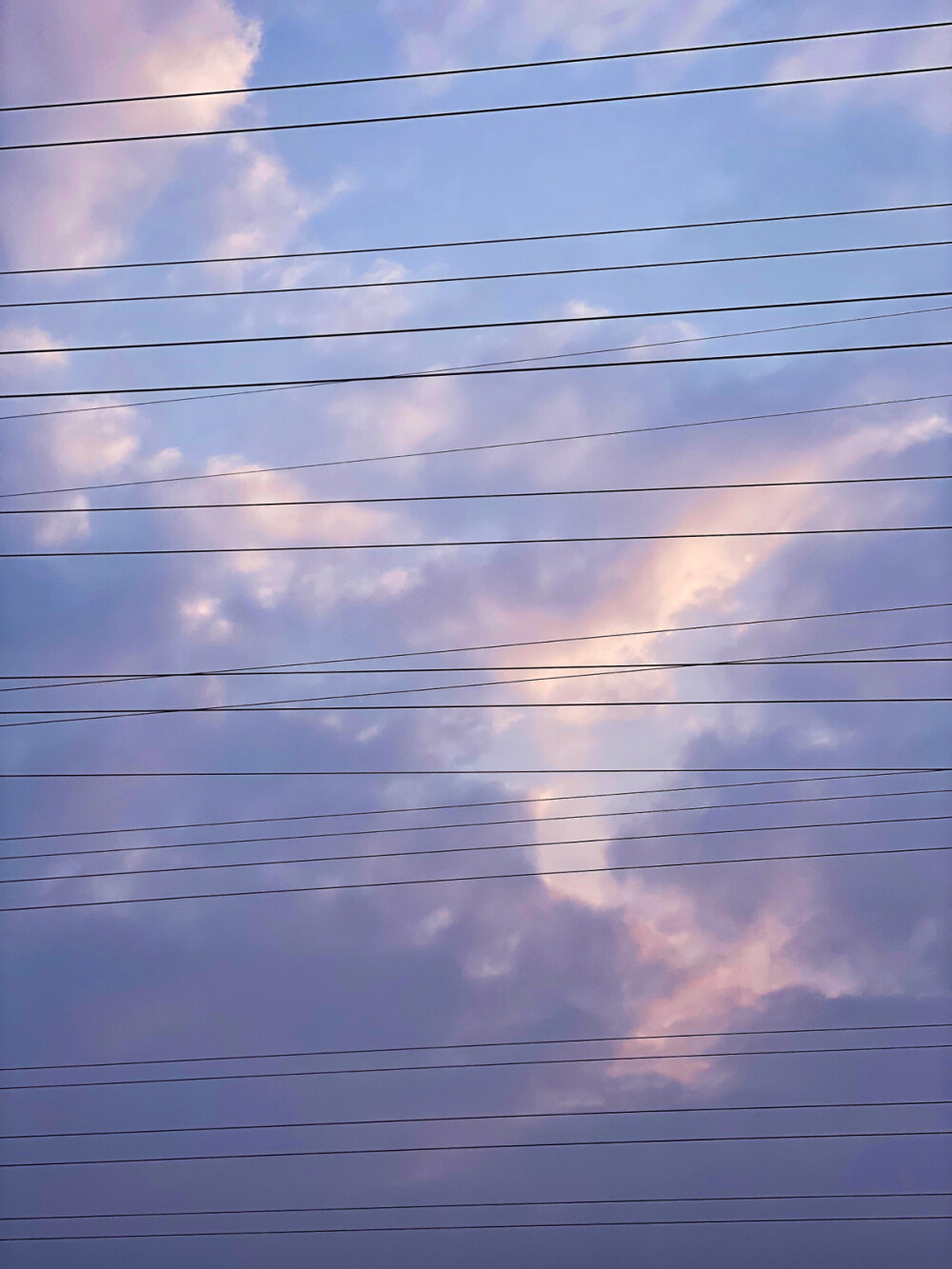 平凡日常
1、以前从不网购鲜花，嫌弃质量不好，这次几块钱网购了一大把银莲，真香。
2、雕刻的水仙开花了，根系白嫩丰富，好似一碗阳春面。
3、自己用玉线做的流苏，像一朵蓝紫色的合欢。
4、我的雪人，此刻已是天边一朵云☁️。
5、15的元宵，16的元宵花灯，想学扎灯笼。
6、和艺术家好朋友‍一起吃蛋糕画画。
7、过年买的报春花，一茬一茬地不断开放。
8、比我头大的佛手，“你快点拍！我脖子要断了！”
9、电线和天空和云彩组成的韵律感。