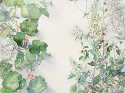 星野木绵的水彩