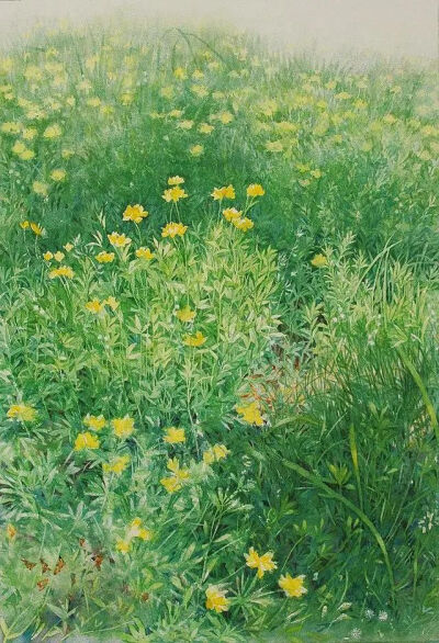 星野木绵的水彩