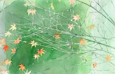 星野木绵的水彩