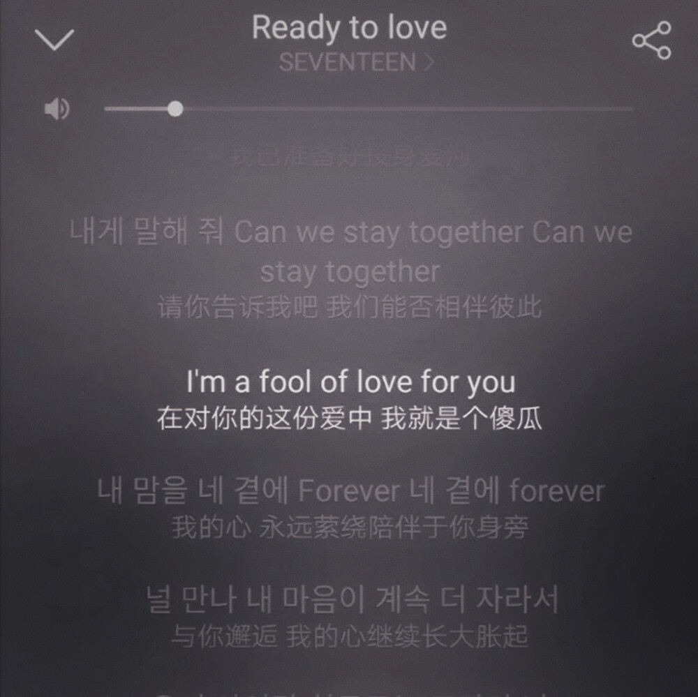 ·Ready to love·
原截贺巡