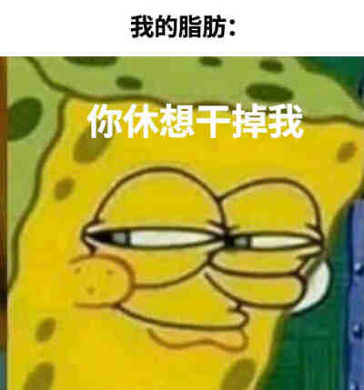 减肥