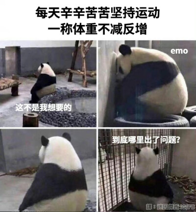 减肥