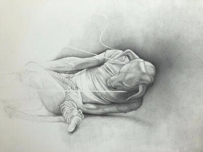 Daan Noppen，荷兰画家，生于1977。戴安·诺彭（Daan Noppen）是一位屡获殊荣的荷兰艺术家，其作品曾在德国，奥地利，卢森堡，美国和荷兰展出。在他的作品中，他探索了物理学及其与我们自己和我们的情感的关系。诺彭…