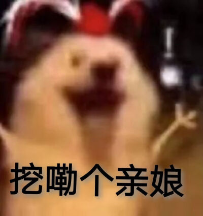 狗表情包