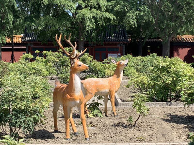 风景名筑٩(￥A￥)۶恭喜发财