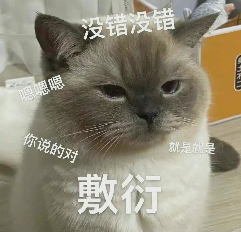 暹罗猫表情包