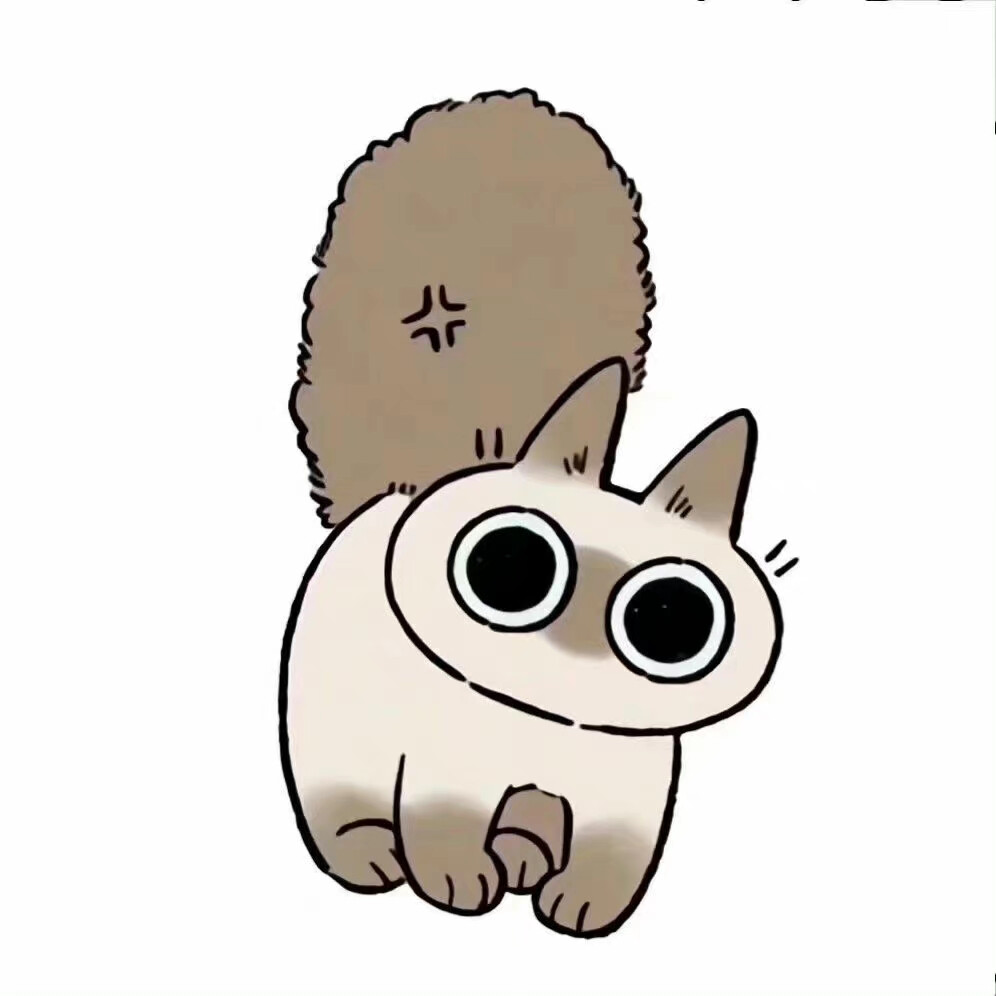 暹罗猫表情包