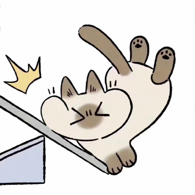 暹罗猫表情包