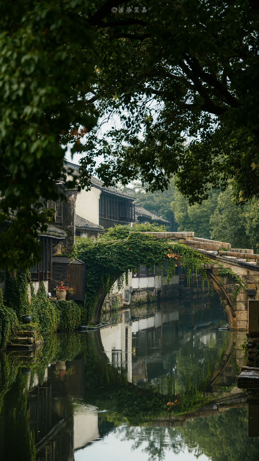 风景