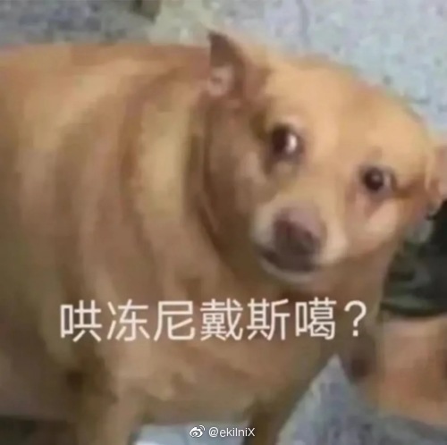 狗子