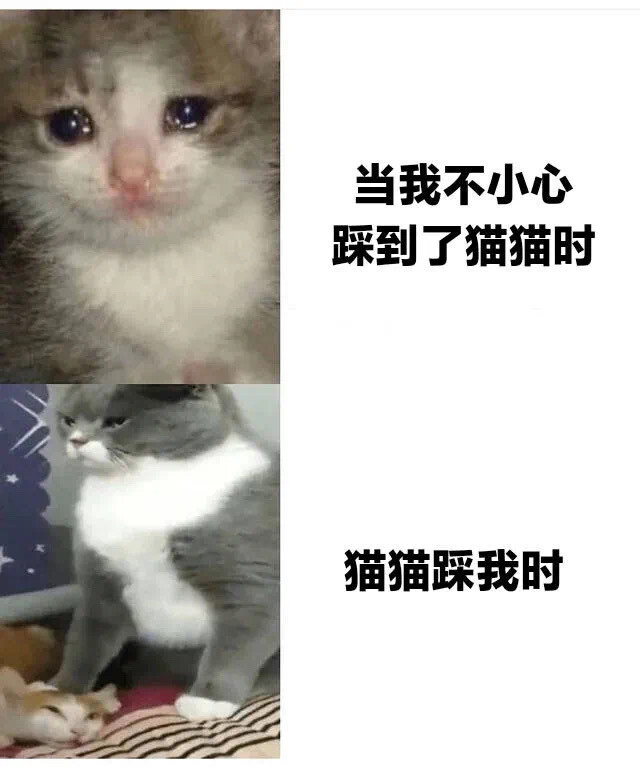 表情包