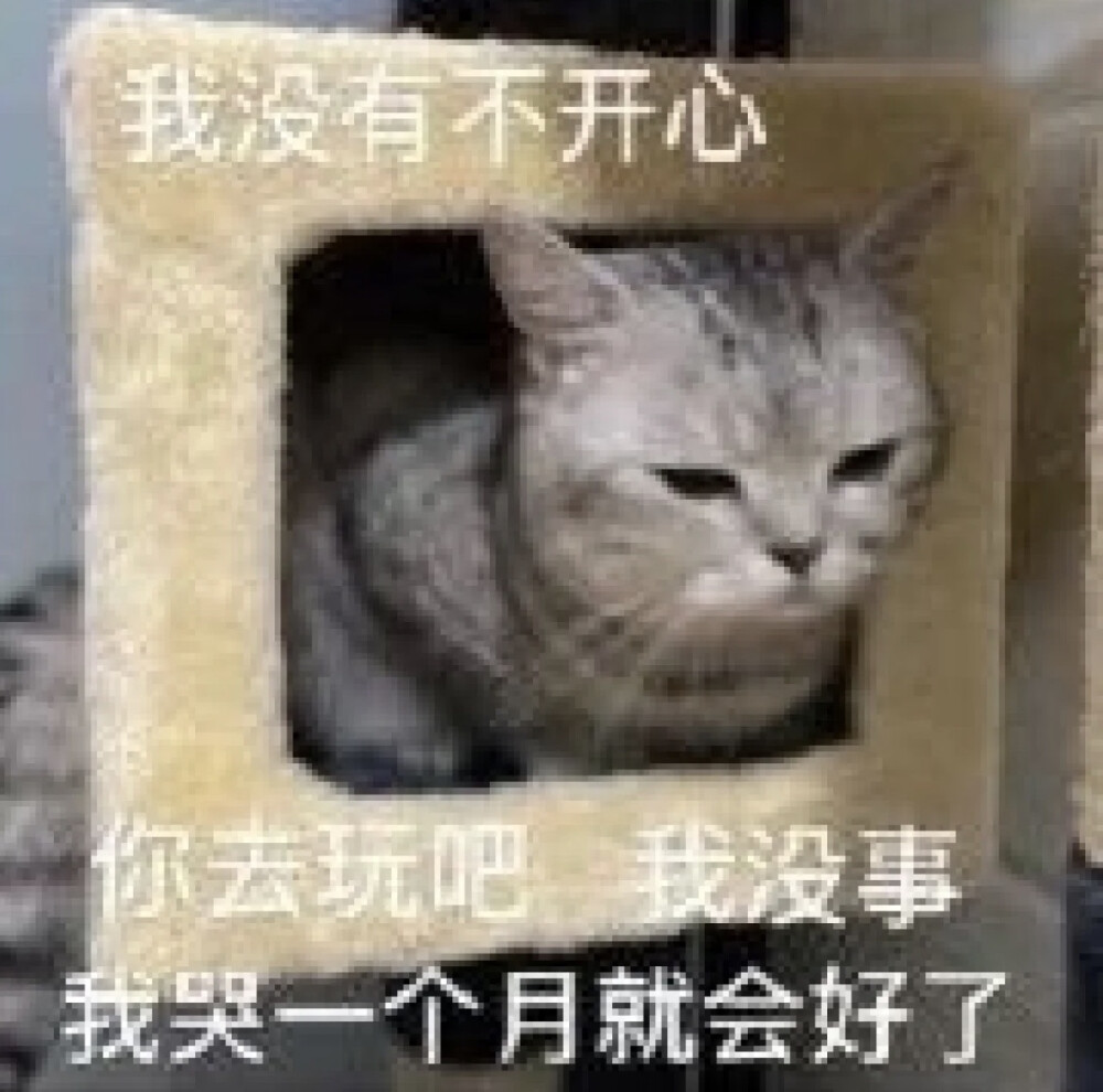 沙雕表情包