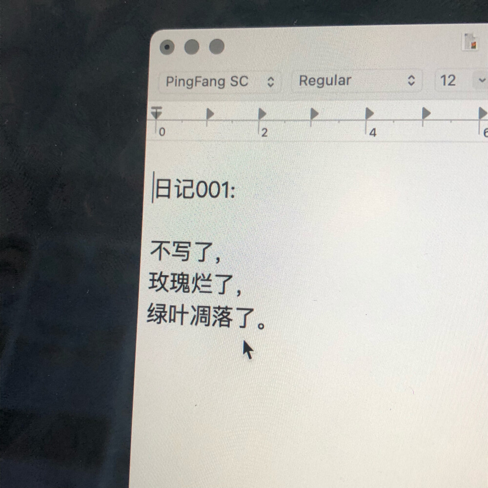 “不写了。玫瑰烂了。”｜背景图｜注明沈随
