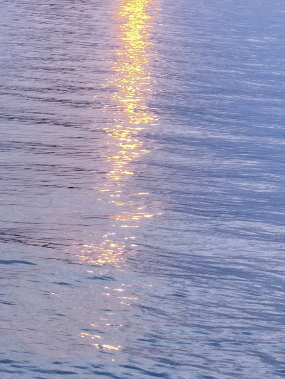 《若海》
天空的雾来得漫不经心，河水像油画一样安静
自摄，禁二改二传