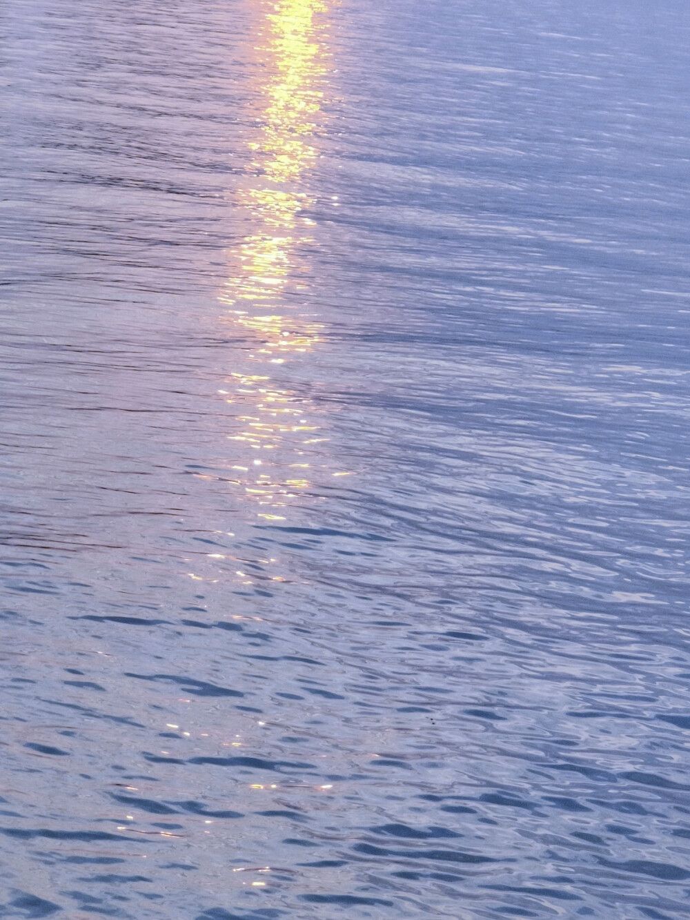 《若海》
天空的雾来得漫不经心，河水像油画一样安静
自摄，禁二改二传