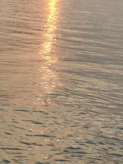 《若海》
天空的雾来得漫不经心，河水像油画一样安静
自摄，禁二改二传