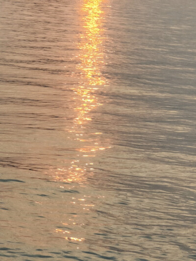 《若海》
天空的雾来得漫不经心，河水像油画一样安静
自摄，禁二改二传