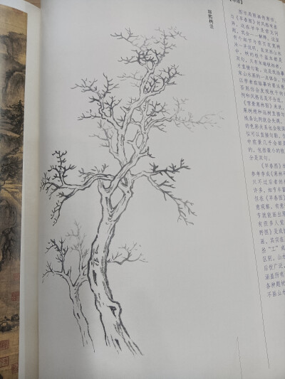 山水树石国画，芥子园