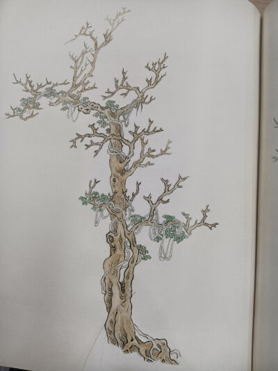 山水树石国画，芥子园