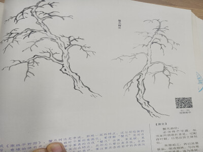 山水树石国画，芥子园