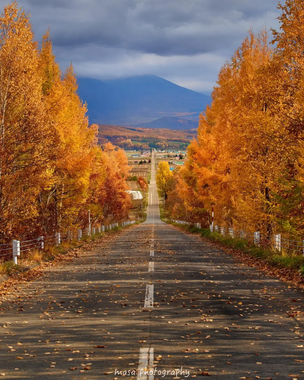 日本 北海道 上富良野 秋の道 - 高清图片,堆糖,美图壁纸兴趣社区