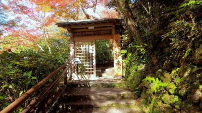 日本 京都 嵐山 祐斎亭 紅葉