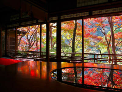 日本 京都 嵐山 祐斎亭 紅葉