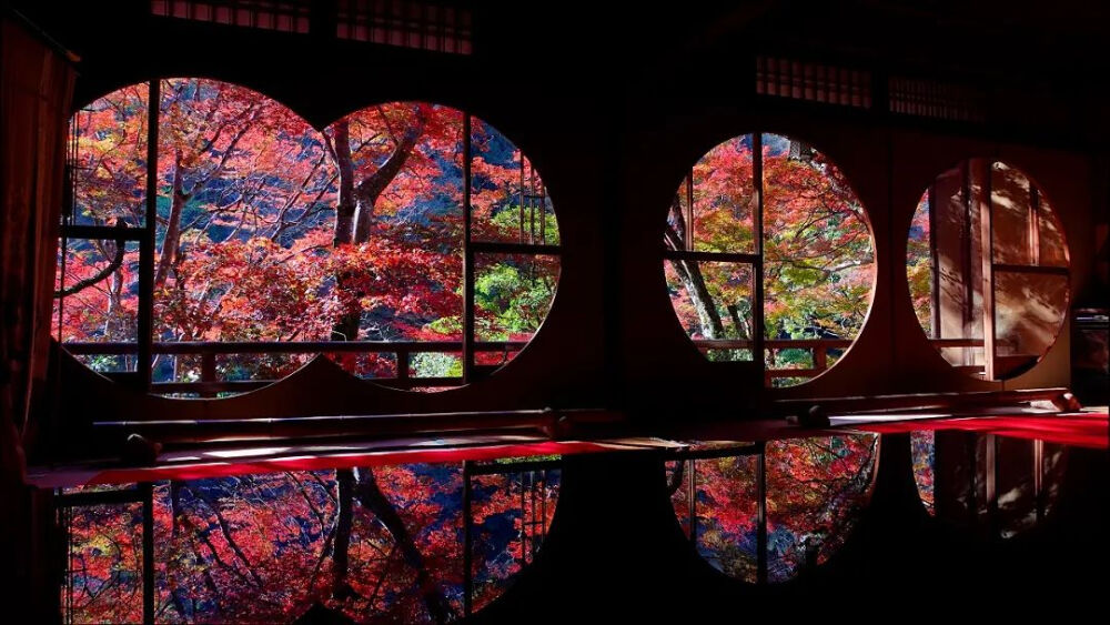 日本 京都 嵐山 祐斎亭 紅葉