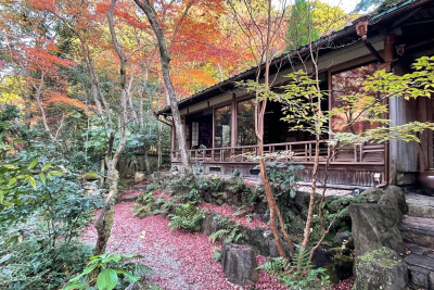 日本 京都 嵐山 祐斎亭 紅葉