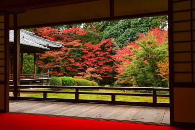 日本 京都 隨心院門跡 紅葉 