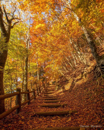 日本 山梨県 富士山 河口湖 紅葉 