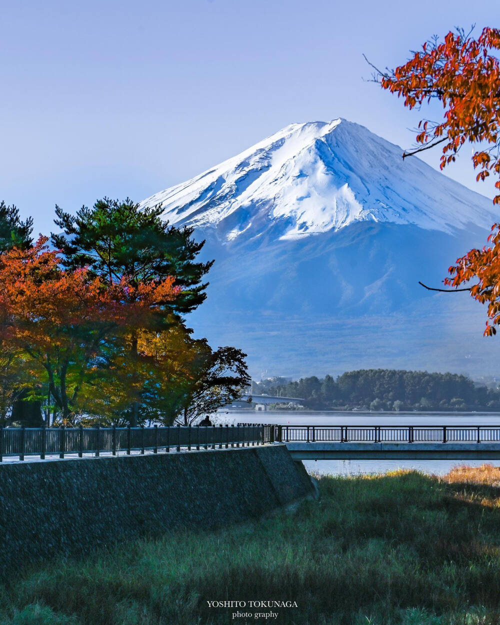 日本 山梨県 富士山 河口湖 紅葉 