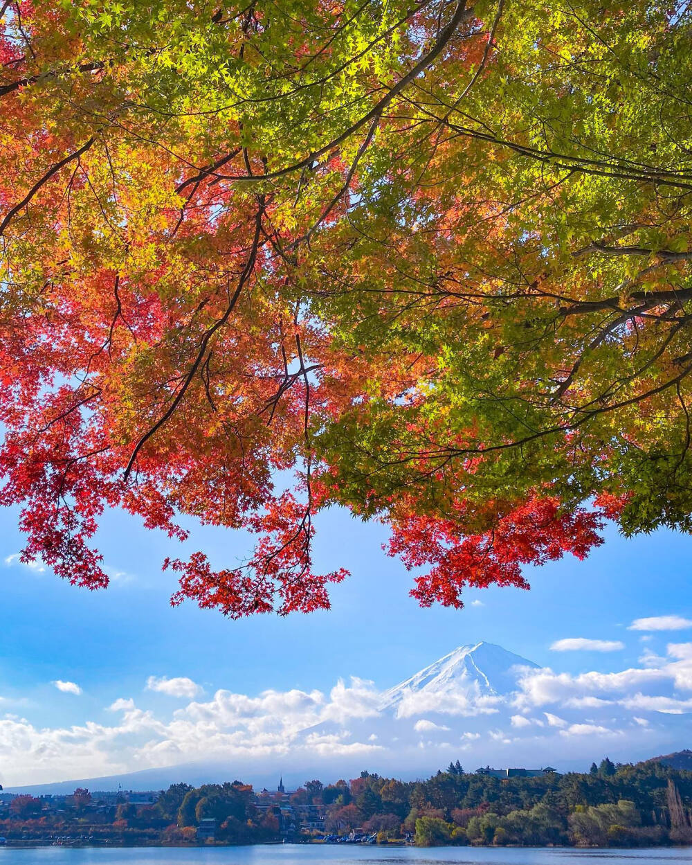 日本 山梨県 富士山 河口湖 紅葉 