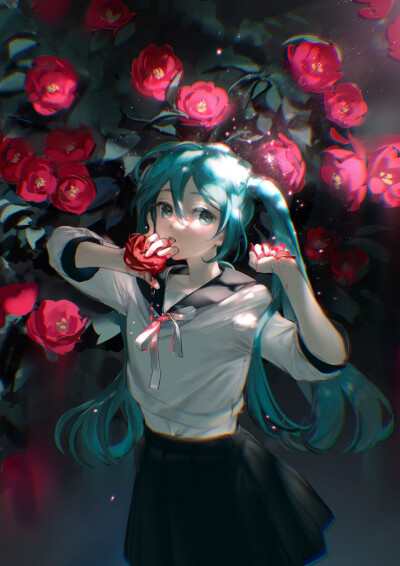 初音 樱初音 雪初音