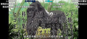 食戟之灵