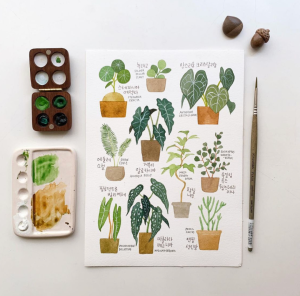 Yirang Kim的水彩作品色调淡雅生动，画面细腻明艳，一帧帧的清雅温馨，仿佛看见一朵朵绽放的鲜花。她的水彩画透出无限温柔，看了让人元气满满。