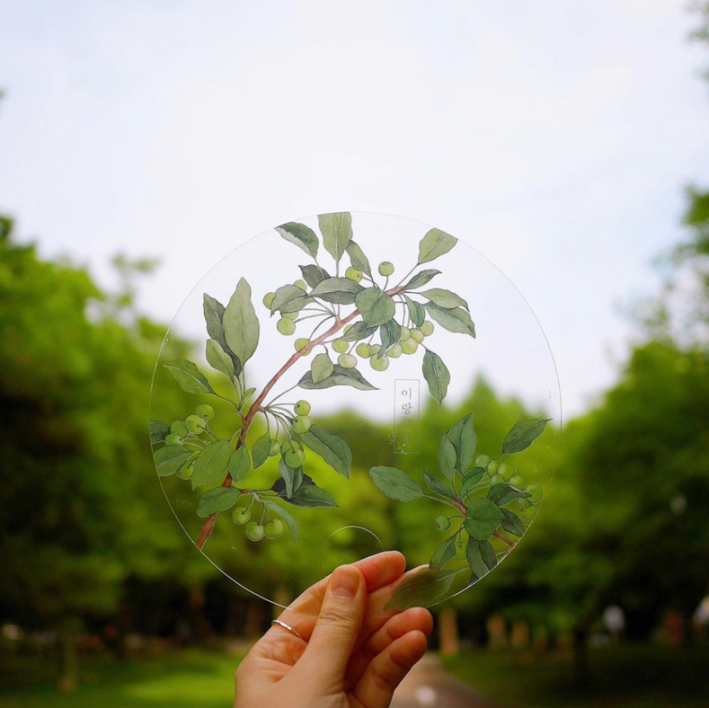 Yirang Kim的水彩作品色调淡雅生动，画面细腻明艳，一帧帧的清雅温馨，仿佛看见一朵朵绽放的鲜花。她的水彩画透出无限温柔，看了让人元气满满。