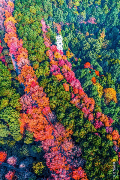 长沙 湖南省森林植物园，摄影师@高兴建