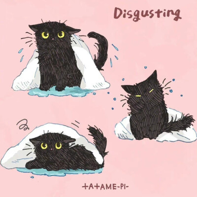 猫咪插画