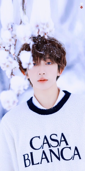 刘宇·雪日里的可爱精灵

©Sweet猫饼